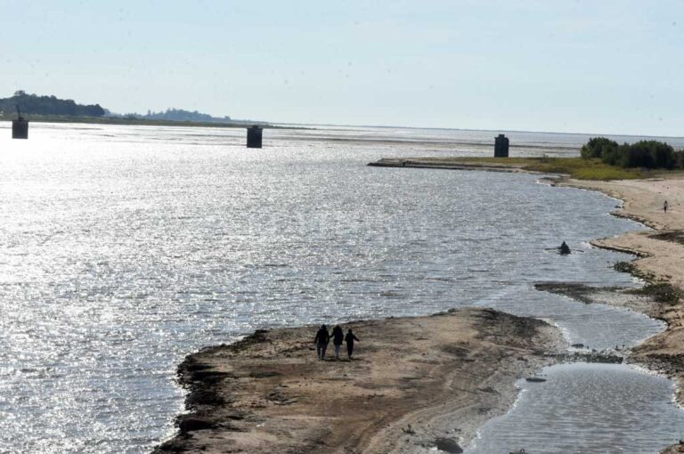 Guillermo Di Salvatore