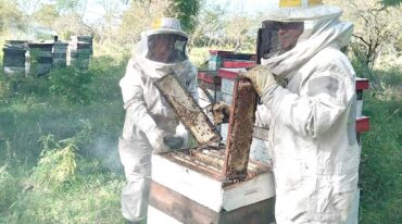 'Los productores intentaron realizar varias salas de extracción pero fue en un momento donde empezó a empeorar la situación del sector y al ir relativamente mal estos proyectos quedaron postergados'
