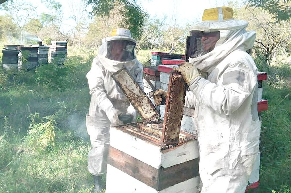 'Los productores intentaron realizar varias salas de extracción pero fue en un momento donde empezó a empeorar la situación del sector y al ir relativamente mal estos proyectos quedaron postergados'
