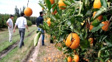 El plan de facilidades de pago permitirá abonar hasta en 90 cuotas mensuales