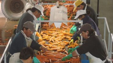 "La intención es que los alimentos lleguen a la población que hoy sabemos que está más necesitada en cuestiones económicas y