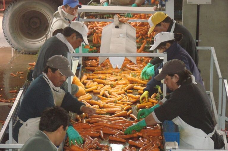 "La intención es que los alimentos lleguen a la población que hoy sabemos que está más necesitada en cuestiones económicas y