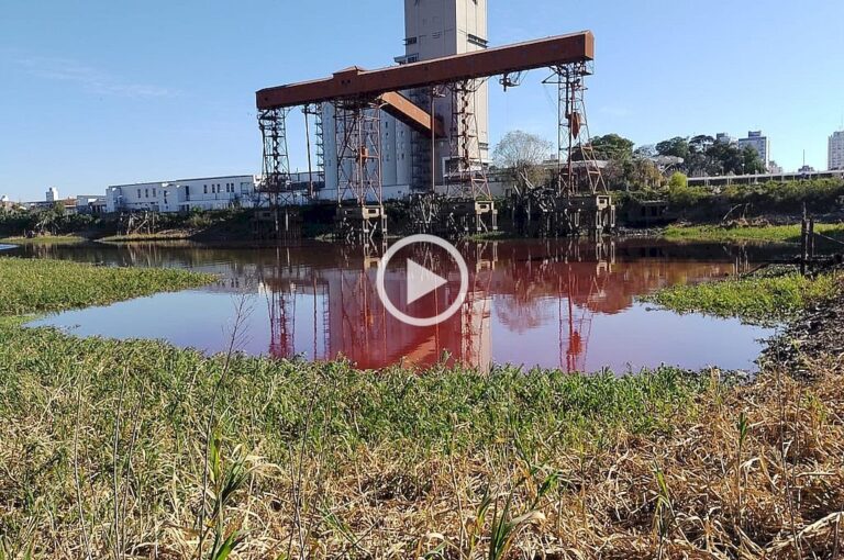 El Litoral