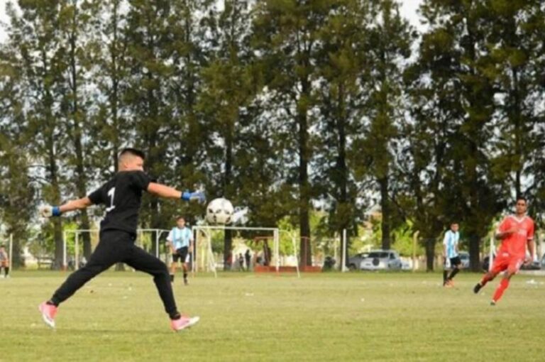 Gentileza: Infovera.