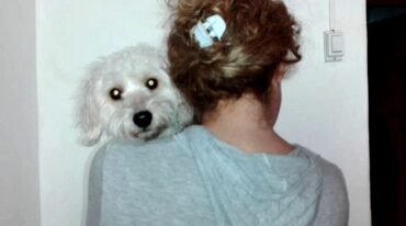 'Las mascotas pueden ser utilizadas como medios para ejercer violencia contra la mujer