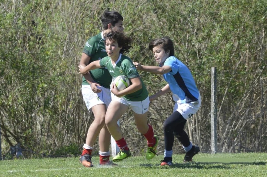 Las divisiones infantiles de distintos clubes de la región