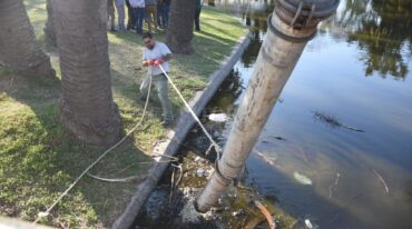 Limpieza. Este lunes comenzaron las tareas de saneamiento de los lagos. Flavio Raina