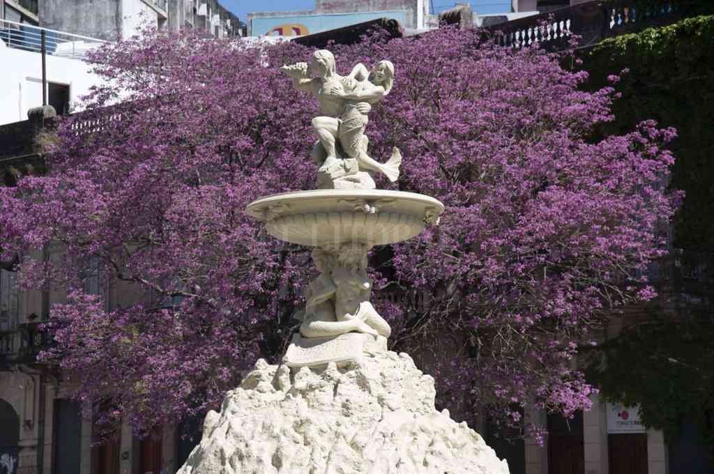 Gentileza
