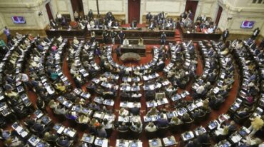 Cámara de Diputados de la Nación.  La oposición en una democracia existe para ponerle límites al gobierno. Una oposición que merezca ese nombre debe diferenciarse del gobierno.  NA
