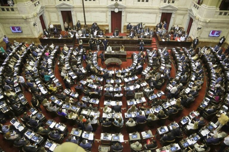 Cámara de Diputados de la Nación.  La oposición en una democracia existe para ponerle límites al gobierno. Una oposición que merezca ese nombre debe diferenciarse del gobierno.  NA