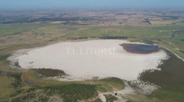 Fernando Nicola (Drone)