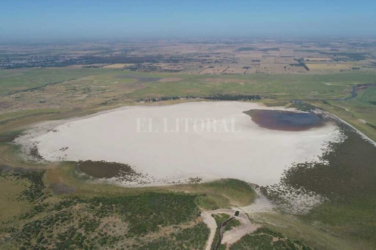 Fernando Nicola (Drone)