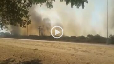 Captura de video