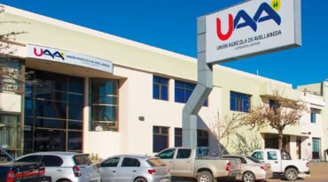 sitio UAA