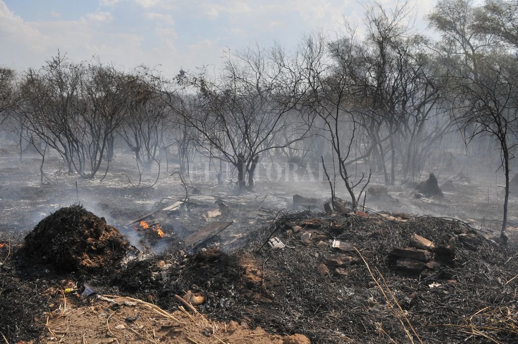 La semana pasada arrancó con  700 puntos de calor (que son los que pueden convertirse en incendios) y terminó con  con más de 1450. Y después llegó la tormenta.