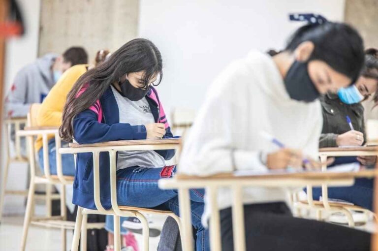 Ellas tienen mayores niveles de participación tanto en la universidad como en el nivel terciario.   Luis Cetraro