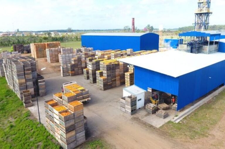 La fábrica de jugos en Villa del Rosario trabaja en dos turnos