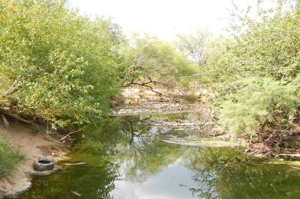 Gentileza