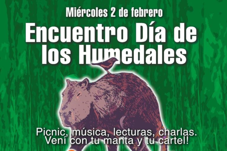 Gentileza.