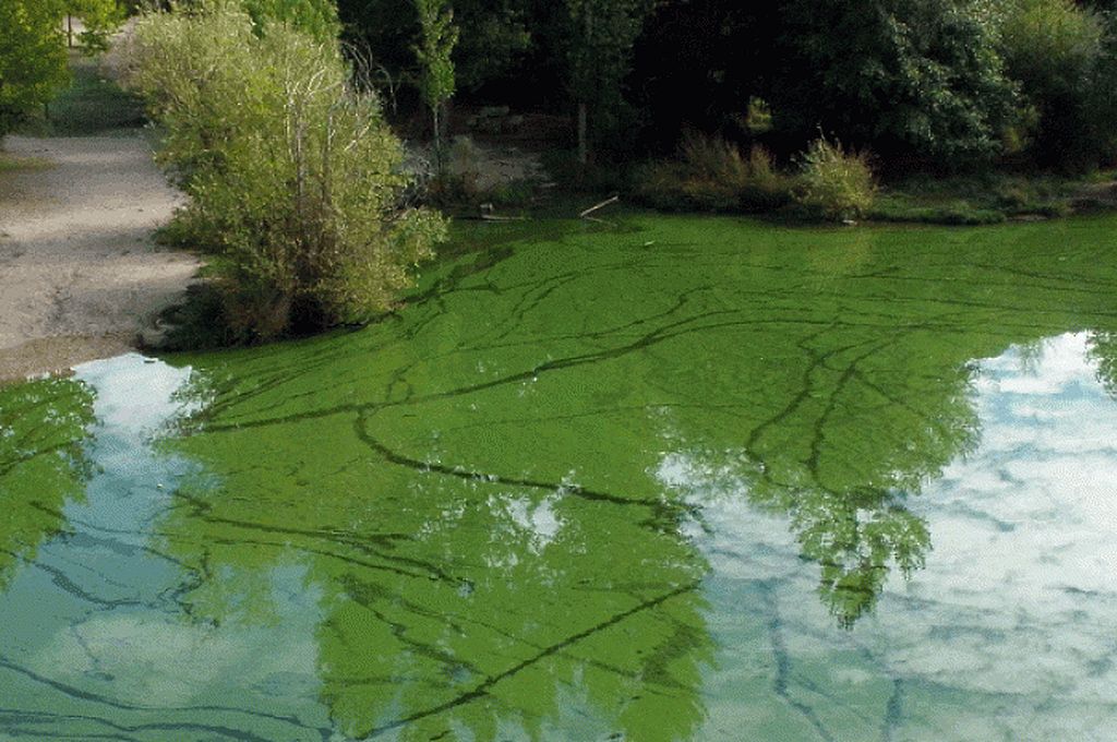 Gentileza Foro Río de la Plata