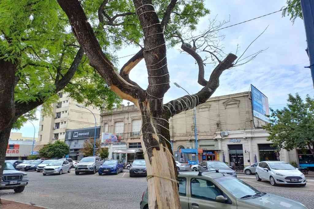 Gentileza