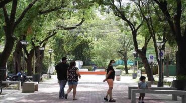 Gentileza