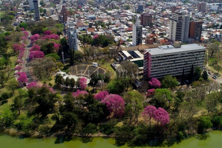 En flor. Los lapachos del Parque del Sur