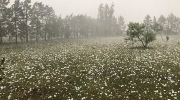 Las bolas de hielo inundaron la zona de Ibarlucea. Gentileza.