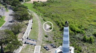 Desde el mirador del Faro de la Costanera se puede apreciar el avance y afianzamiento de la nueva vegetación que cambió el paisaje. Fernando Nicola