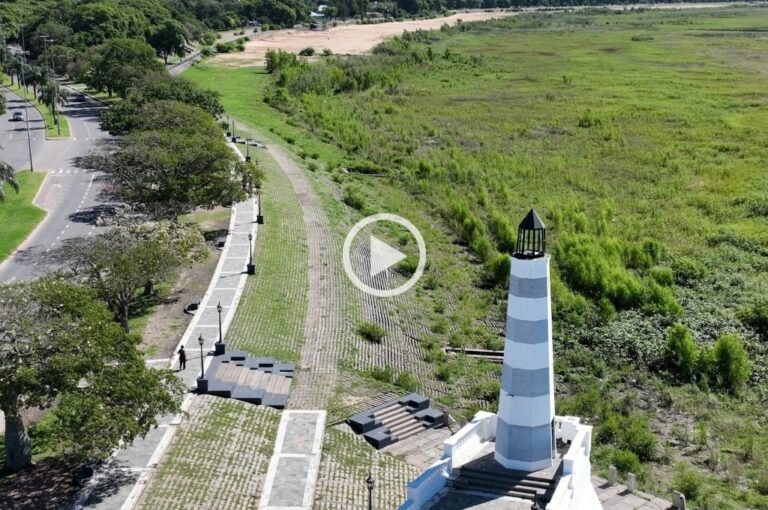 Desde el mirador del Faro de la Costanera se puede apreciar el avance y afianzamiento de la nueva vegetación que cambió el paisaje. Fernando Nicola