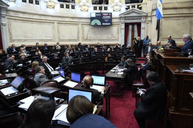 Gentileza Honorable Senado de la Nación Argentina.