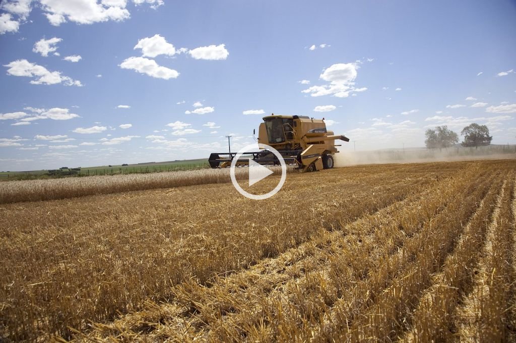 El faltante impacta en el transporte de carga y el sector agrícola