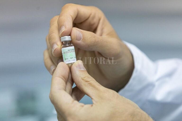 Se trata de la primera vacuna biotecnológica del mundo contra esta zoonosis creada a partir de partículas pseudovirales y generada en células animales modificadas por ingeniería genética. Gentileza