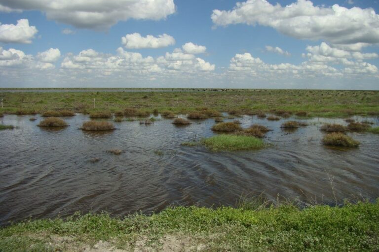 Las tres provincias involucradas atraviesan periódicamente situaciones de emergencia hídrica que requieren de rápidas respuestas para hacer frente a los problemas en el corto plazo