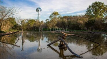En Mundo Aparte hoy 'te encontrás con especies que llegan al lago artificial