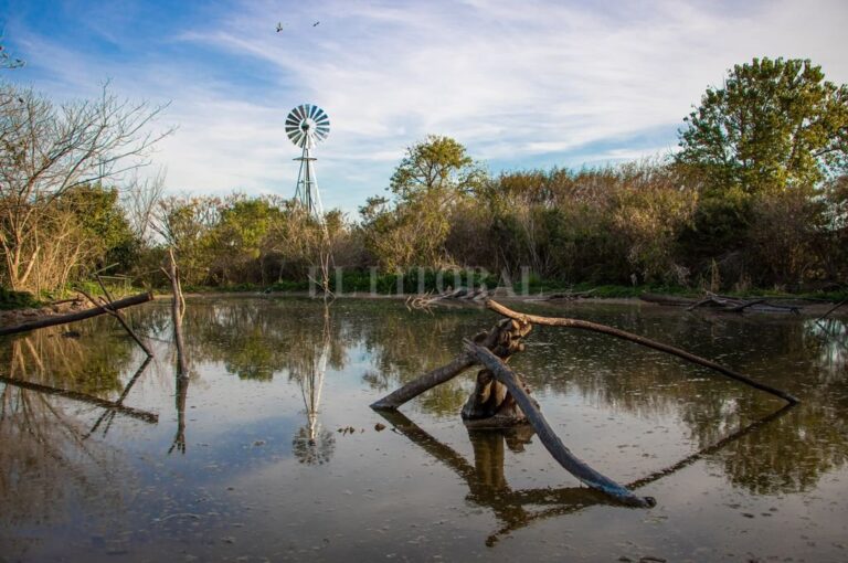 En Mundo Aparte hoy 'te encontrás con especies que llegan al lago artificial