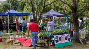 Participaron viveros de plantas ornamentales y de árboles nativos