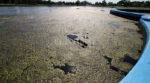 El registro gráfico es del 21 de enero de 2019. Así se veía en ese entonces el lago: su agua