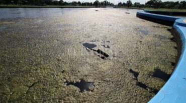 El registro gráfico es del 21 de enero de 2019. Así se veía en ese entonces el lago: su agua