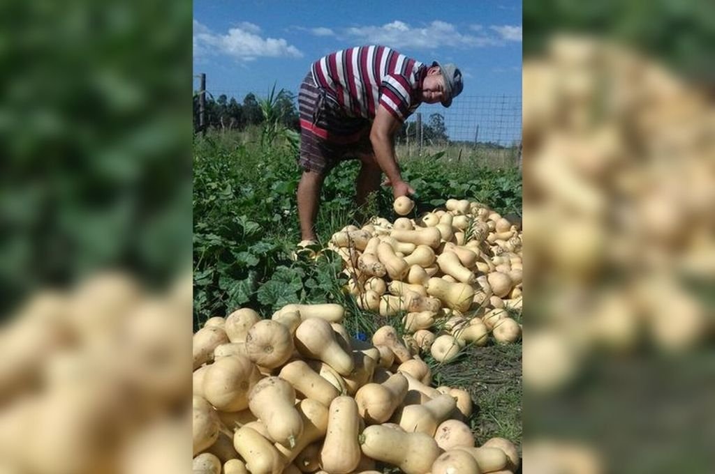 En el Polo Productivo Agroecológico Municipal se producen alimentos sin agroquímicos.