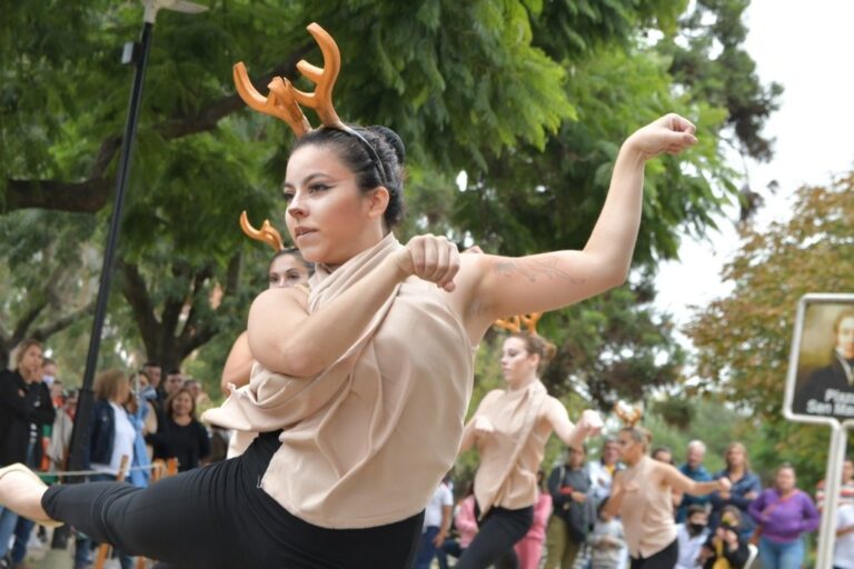 Mun. de Venado Tuerto