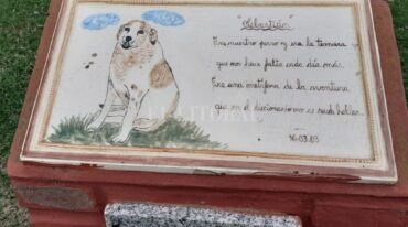 Sebastián el perrito callejero que logró conquistar todo un pueblo y tiene un monumento en su honor. Una historia que vale la pena recordar en el Día del Animal. Gentileza Vanina Milanesio