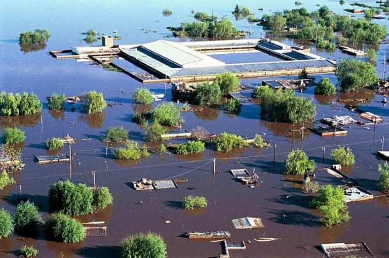 Hasta el techo. La imagen corresponde a los días posteriores al 29 de abril de 2003. Archivo