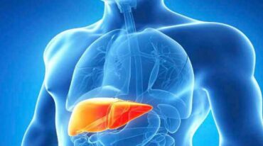 Imagen ilustrativa Gentileza