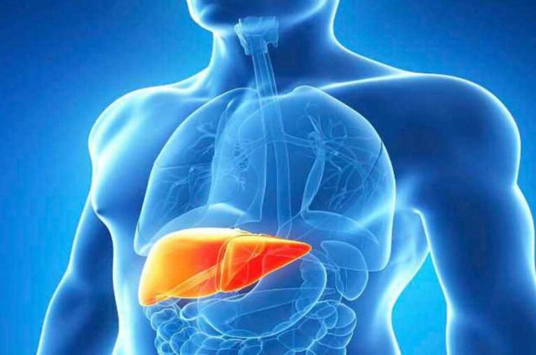 Imagen ilustrativa Gentileza