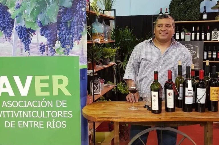En Entre Ríos hay bodegas con diferentes categorías: 'caseras'