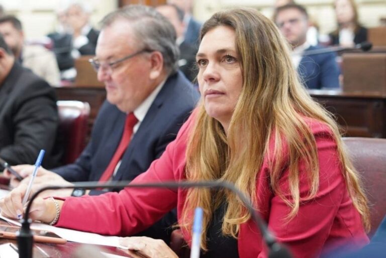 La diputada del bloque UCR Evolución