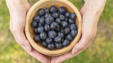 El Departamento de Agricultura de USA describió al arándano como el producto con el mayor valor antioxidante entre más de 40 especies y vegetales evaluados.