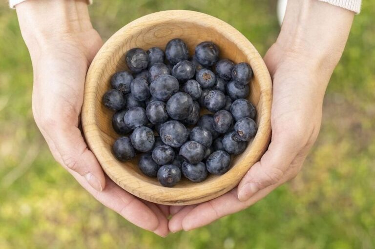 El Departamento de Agricultura de USA describió al arándano como el producto con el mayor valor antioxidante entre más de 40 especies y vegetales evaluados.