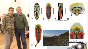 Isaías Lange y su padre Rolando comparten su pasión por la entomología. A la nueva especia se la denominó con el nombre científico 'Lasionota zapalaensis' (Zapala por la ciudad y ensis por el nombre del lugar en latín).